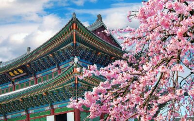 Corea del Sud: Il Volto Asiatico del Dinamismo