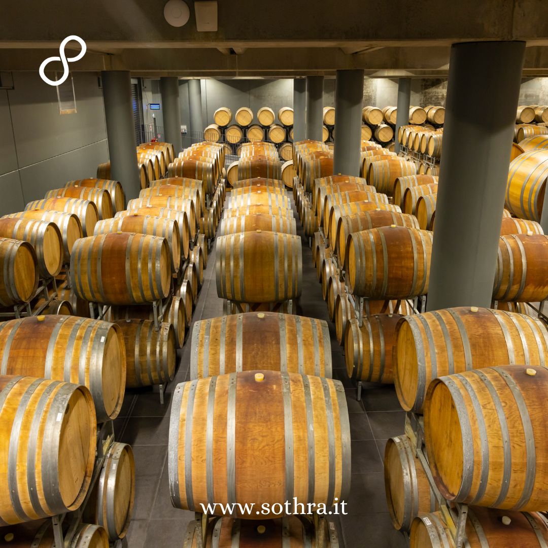 Langhe Piemontesi e i suoi vini